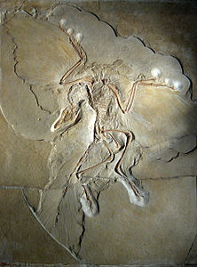 Griphosaurus