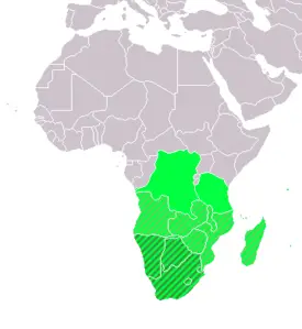 Güney afrika bölgesi