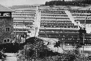 Flossenbürg Toplama Kampı