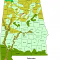 Alabama orman tipleri.png