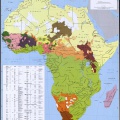 afrika etnik groups 1996.jpg